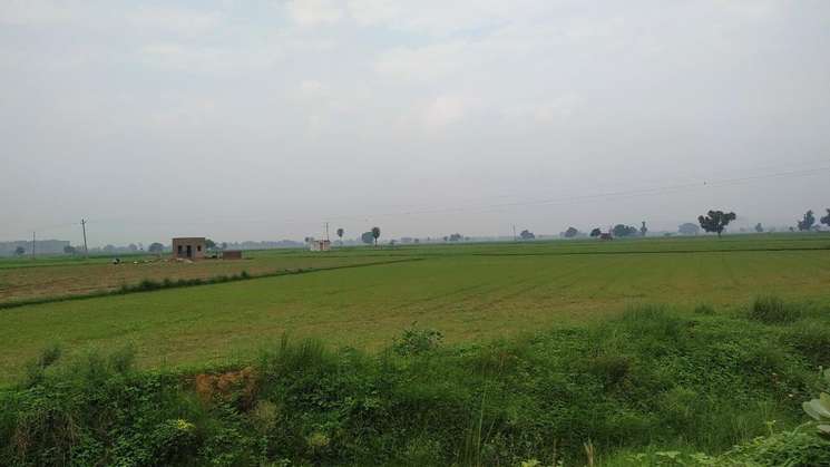 Commercial Land 5 Acre in Dhansa Delhi