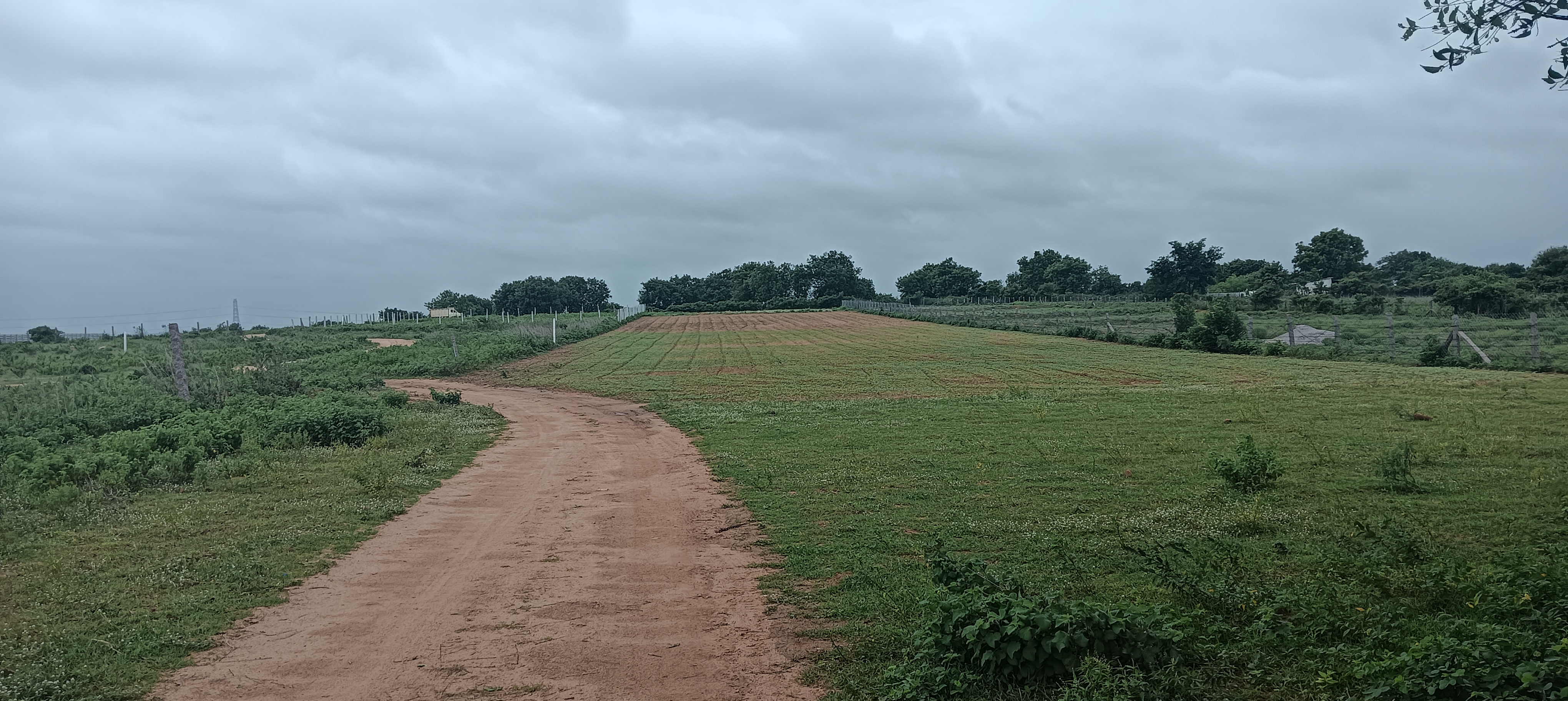 Resale Commercial Land 2 Acre in Chilkur Hyderabad 5649336