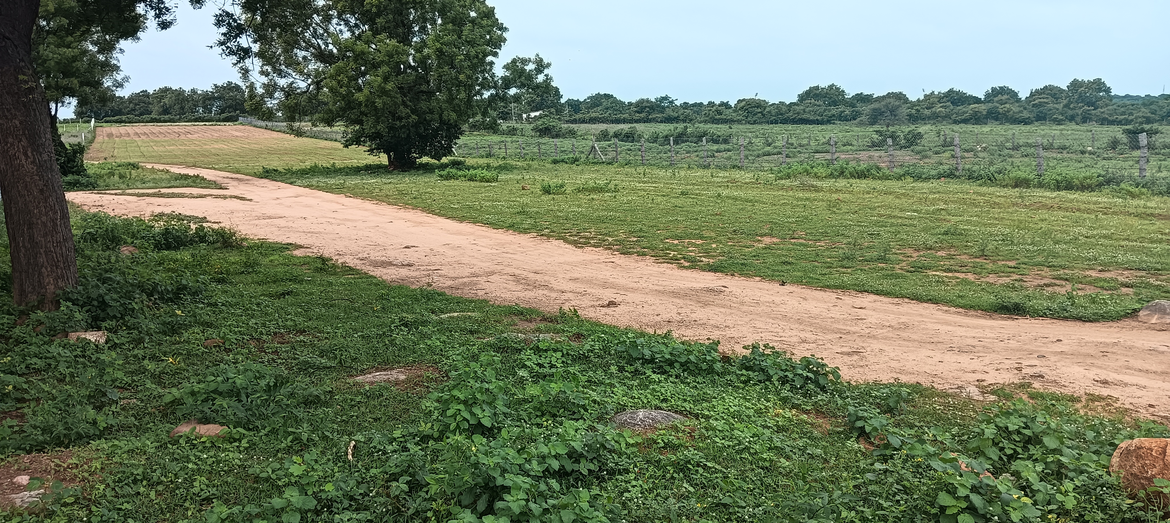 Resale Commercial Land 2 Acre in Chilkur Hyderabad 5649336