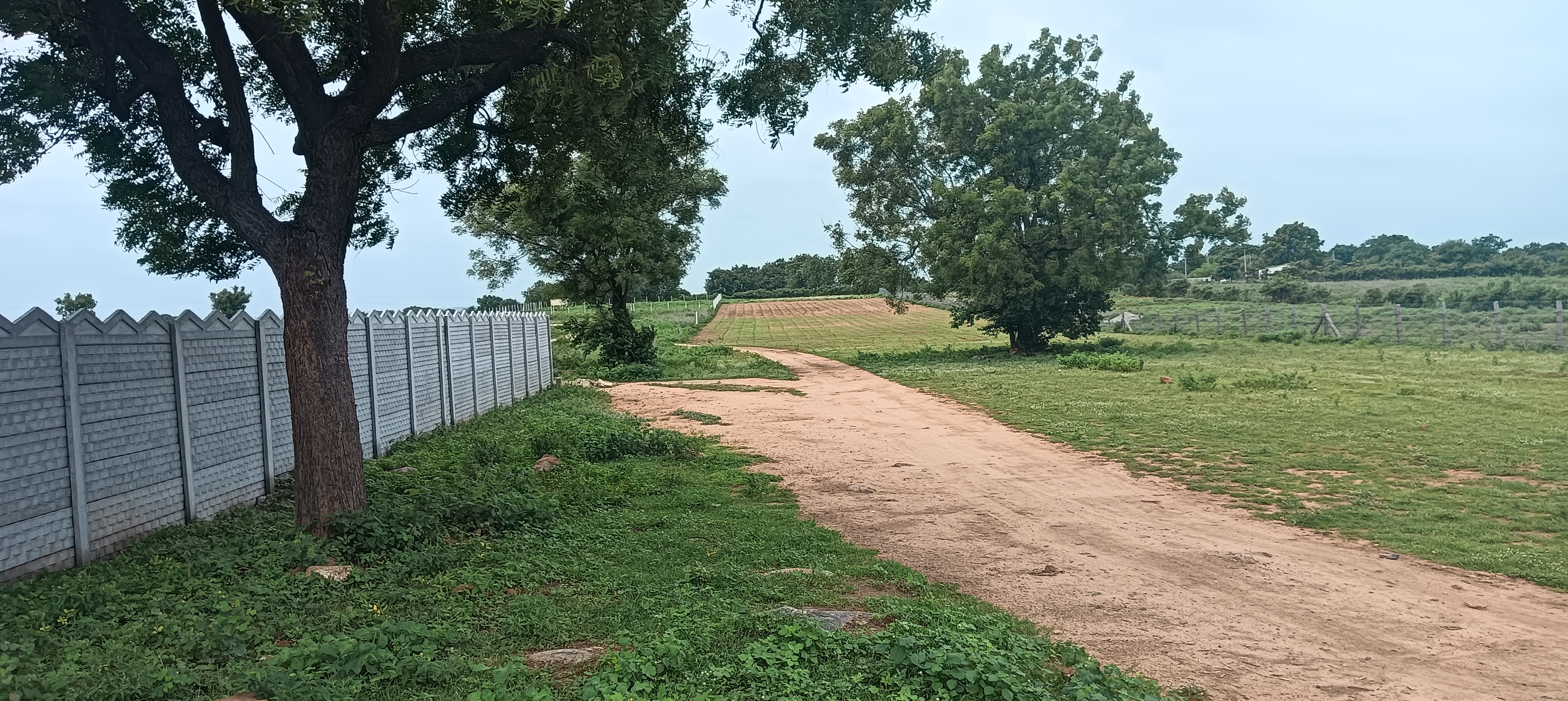 Resale Commercial Land 2 Acre in Chilkur Hyderabad 5649336