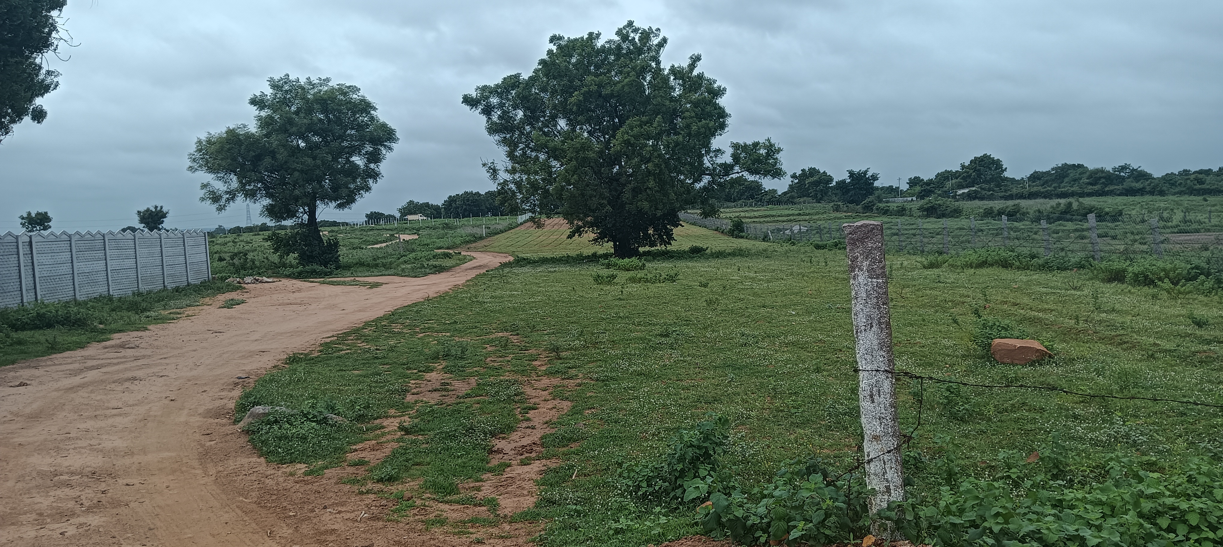 Resale Commercial Land 2 Acre in Chilkur Hyderabad 5649336