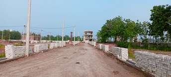  Plot For Resale in Sultanpur Road Lucknow 5651021