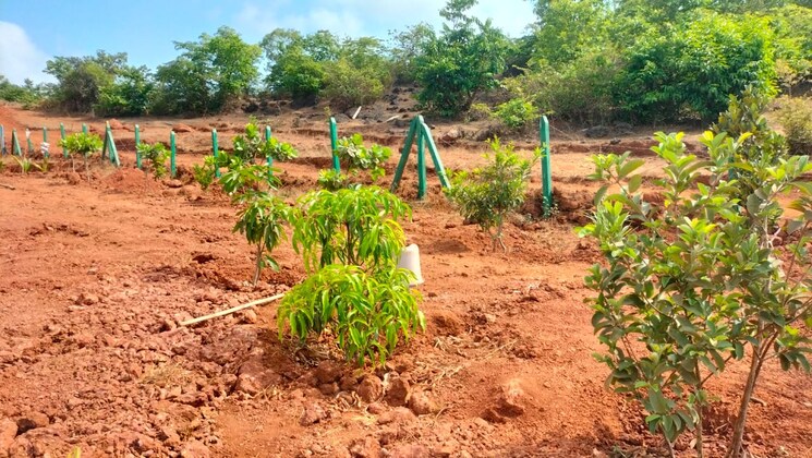 Exterior View, mangaon  1000 Sq.Yd. Plot In Mangaon Raigad 5652932