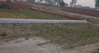  Plot For Resale in Hindustan Valley Sultanpur Road Lucknow 5656872