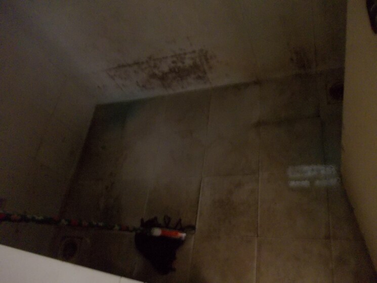 Bathroom, om-praangan 1 Bedroom 595 Sq.Ft. Apartment In Ambegaon Budruk Pune 5656847