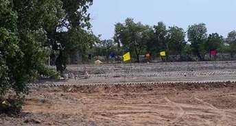  Plot For Resale in Sector 29 Faridabad 5661388