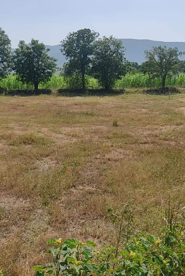 Resale 4300 Sq.Yd. Plot in Baner Pune 5666463