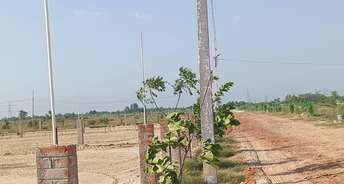  Plot For Resale in Jail Road Lucknow 5667284
