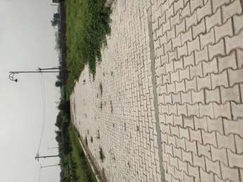  Plot For Resale in Sector 63 Sonipat 5667120