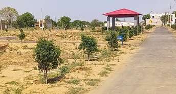  Plot For Resale in Sikri Faridabad 5673046
