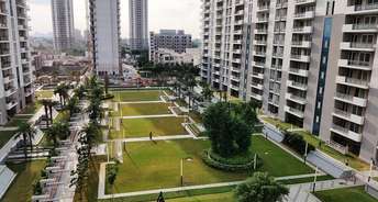 3 BHK Apartment For Rent in DLF The Ultima Sector 81 Gurgaon 5673825