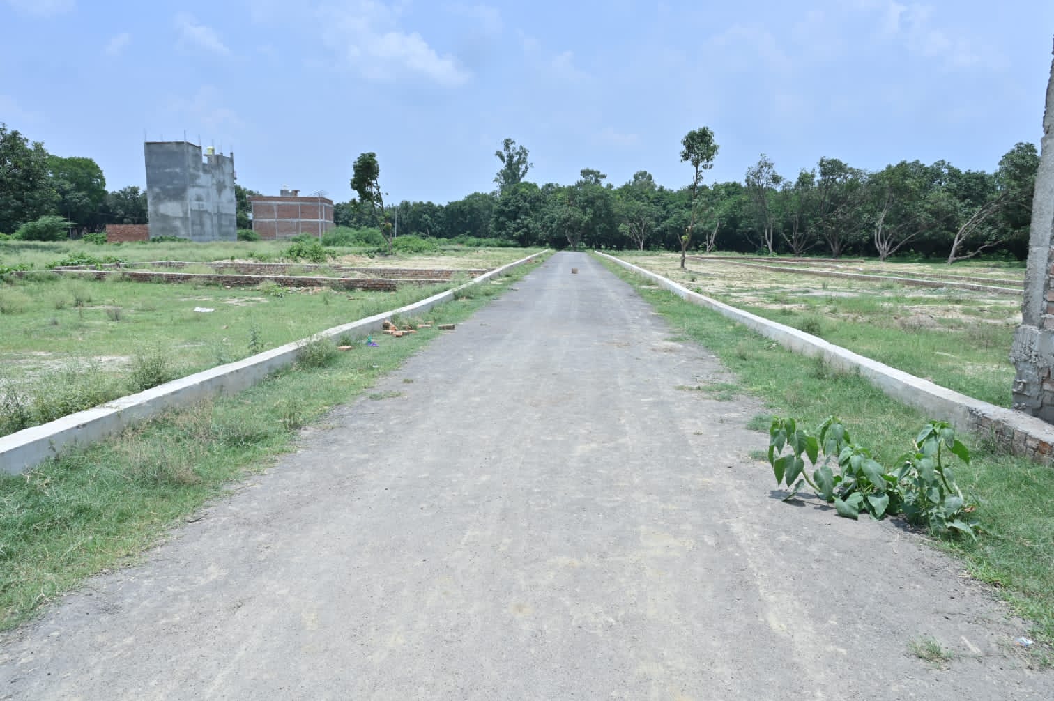 Resale 845 Sq.Ft. Plot in Star City, Alambagh Lucknow 5674186