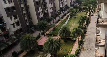 3 BHK Apartment For Resale in Maya Garden City Lohgarh Zirakpur 5674257