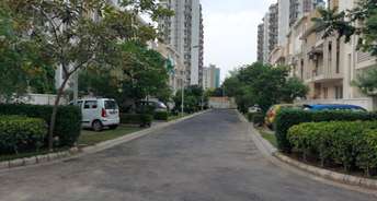 3 BHK Builder Floor For Resale in Roots Courtyard Sector 48 Gurgaon 5674990