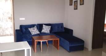 1 BHK Apartment For Resale in Tulsiani Easy In Homes Sohna Sector 35 Gurgaon 5677060