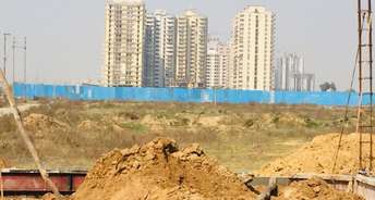 Plot For Resale in Sector 20 Greater Noida 5676994