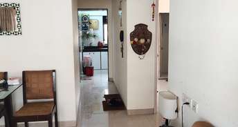 2 BHK Apartment For Resale in Salsette Catholic CHS Bandra West Bandra West Mumbai 5680136