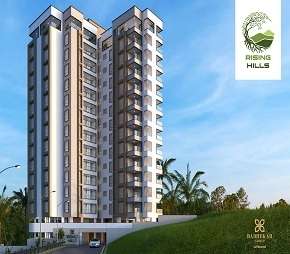 2 BHK Apartment For Resale in Badhekar Rising Hills Bavdhan Pune 5680813