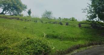  Plot For Resale in Kursi Road Lucknow 5680827