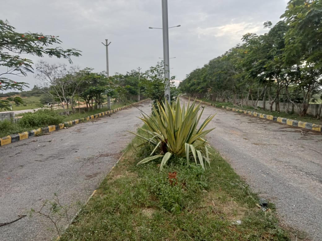 Resale 300 Sq.Yd. Plot in Ashoka Central Park, Mokila Hyderabad 5681332