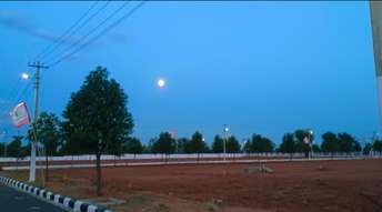  Plot For Resale in Nandigama Hyderabad 5683198