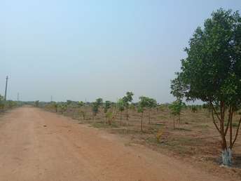  Plot For Resale in Alair Hyderabad 5684125