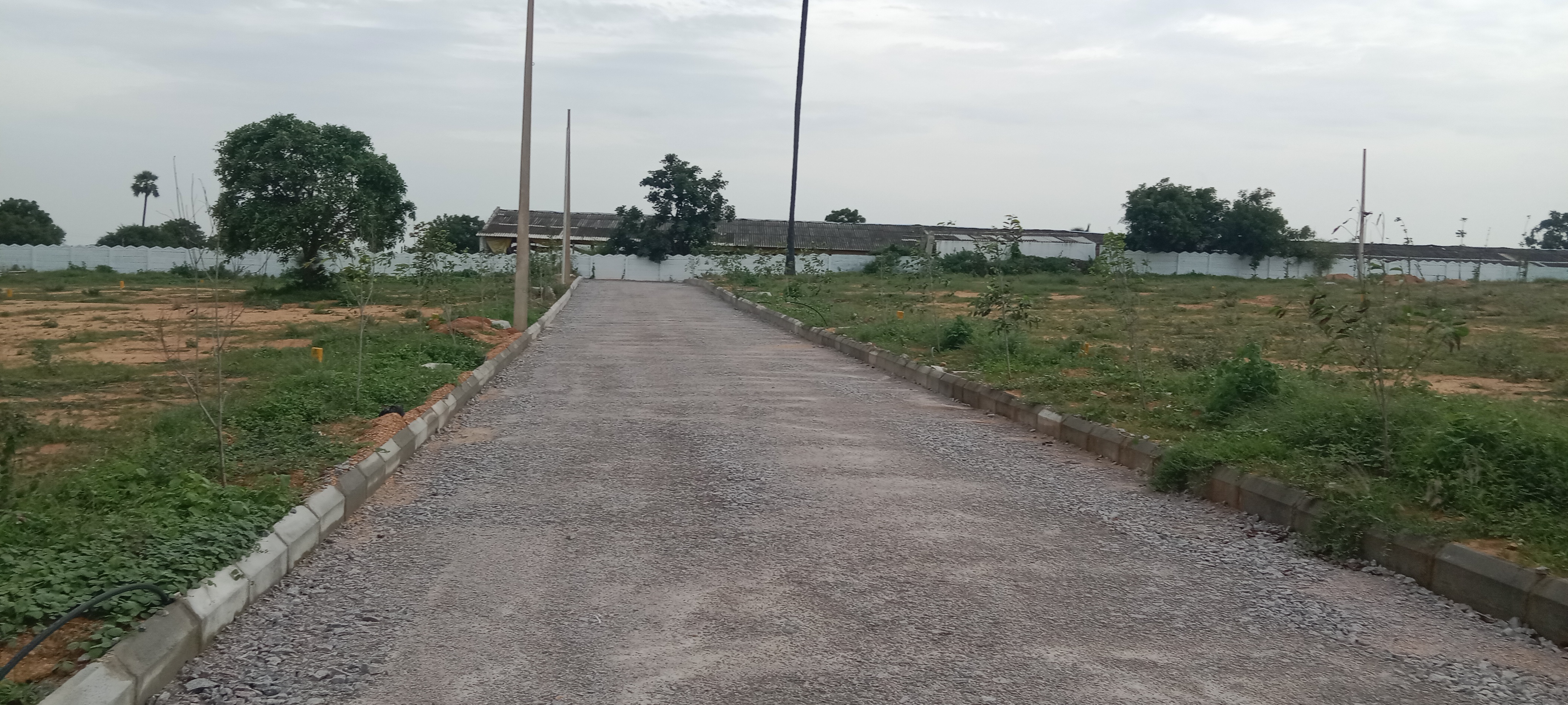 Resale 167 Sq.Yd. Plot in Kokapet Hyderabad 6719303