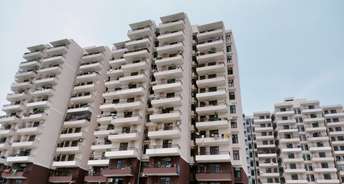 4 BHK Apartment For Resale in Sector 33 Sonipat 5685555