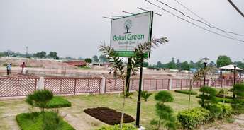  Plot For Resale in Sector 35 Sonipat 5685566