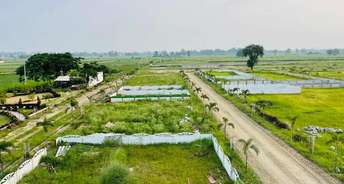  Plot For Resale in Sector 67a Gurgaon 5685898
