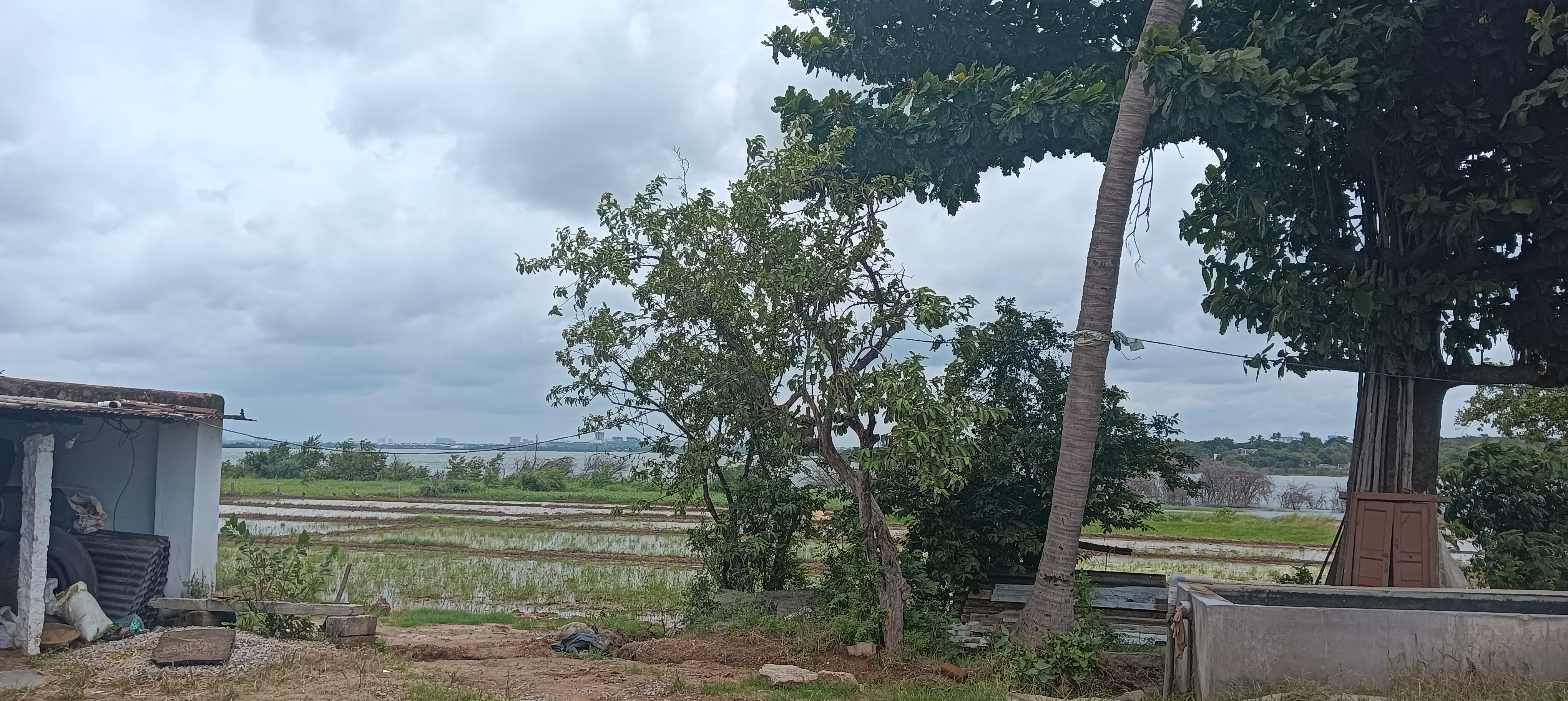 Resale Commercial Land 1 Acre in Chilkur Hyderabad 5686943