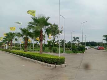 Plot For Resale in Sector 16 Chandigarh  5688384