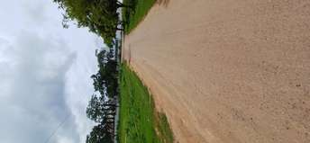  Plot For Resale in Gopalagowda Extension Shimoga 5688639