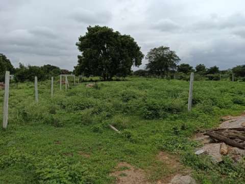 Commercial Land 1 Acre in Chilkur Hyderabad