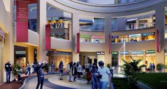 Commercial Shop 509 Sq.Ft. For Resale In Sector 102 Gurgaon 5691192