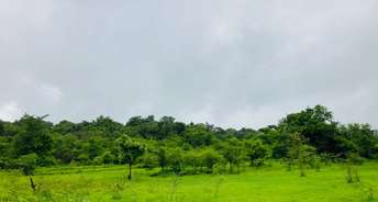 Commercial Land 13 Acre For Resale In Kusmade Colony Pune 5692466
