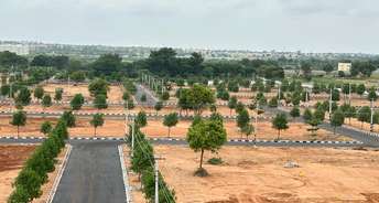  Plot For Resale in Nandigama Hyderabad 5696696
