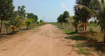  Plot For Resale in Alair Hyderabad 5697720