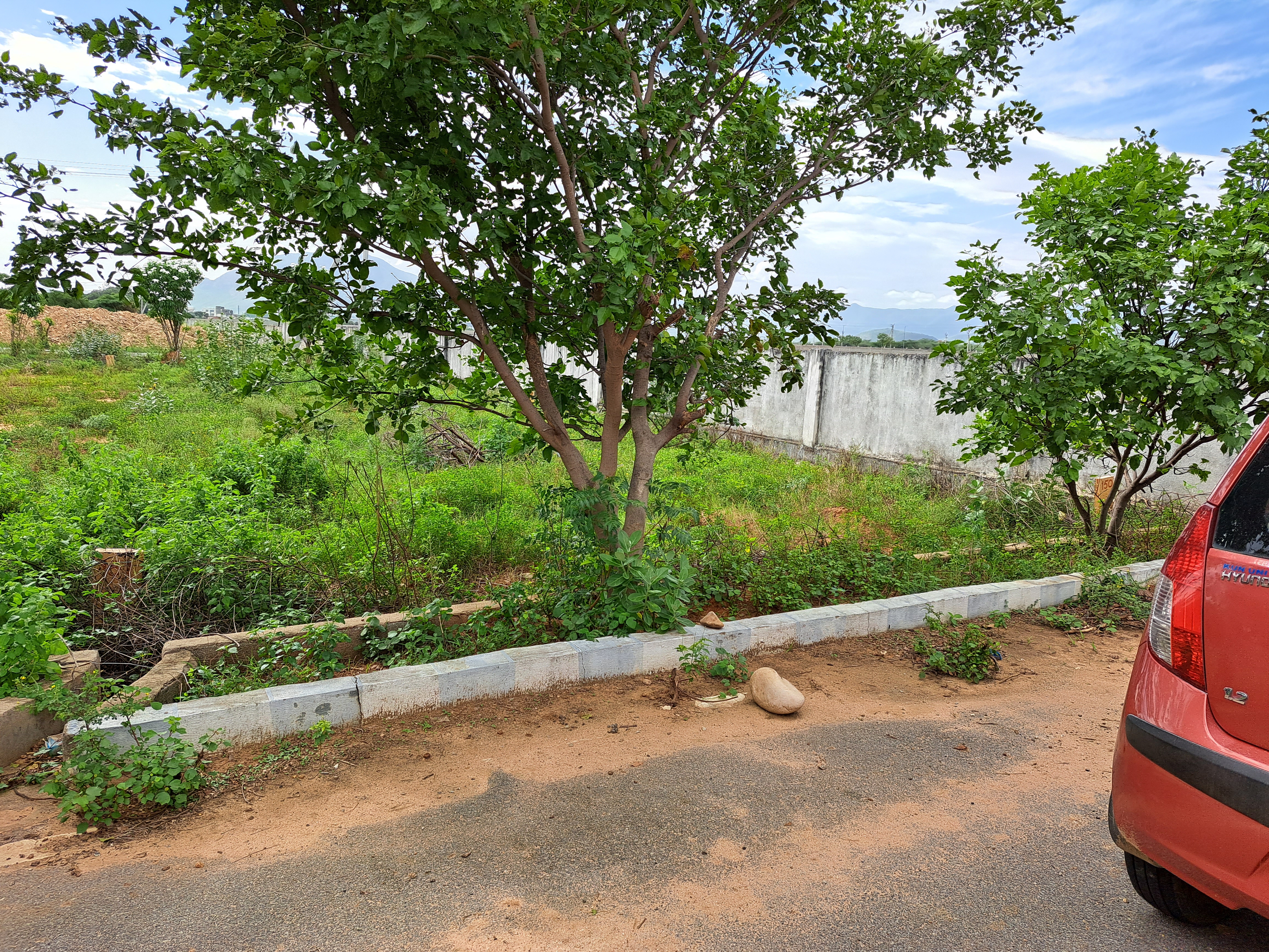 Plot For Resale in Renigunta Tirupati  5697918