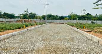 Commercial Land 150 Sq.Yd. For Resale In Kandi Hyderabad 5698530