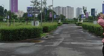 Plot For Resale in BPTP District Phase 2 Sector 84 Faridabad 5698811