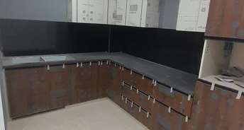 2 BHK Builder Floor For Resale in Saket Delhi 5702028