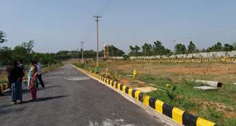  Plot For Resale in Anekal Bangalore 5702432