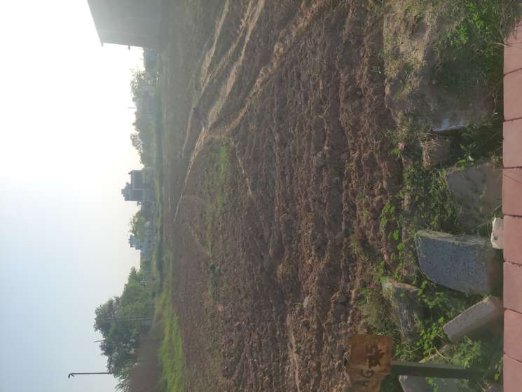 300 Sq.Yd. Plot in Sector 106 Mohali