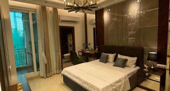 3 BHK Apartment For Resale in Bank Colony Hisar 5703911