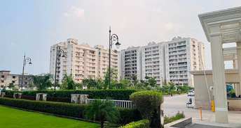 3 BHK Apartment For Resale in Global Space Township Hisar 5703948