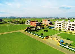  Plot For Resale in Sector 3 Wave City Ghaziabad 5704644