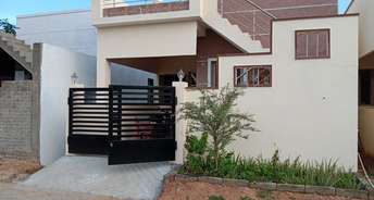 2 BHK Independent House For Resale in Maraimalai Nagar Chennai 5248603