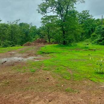 Plot For Resale in Pali Raigad  5705260