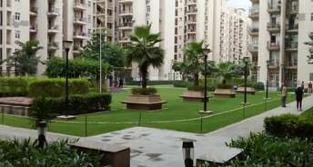 3 BHK Apartment For Resale in BPTP Park Elite Premium Sector 84 Faridabad 5705360